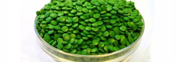 Chlorella: chlorophyll supplement, vitamins, trace minerals