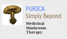 medicinal mushroom therepy