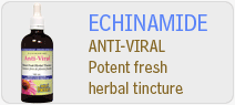 echinamide anti viral