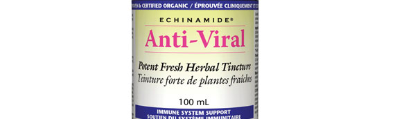 natural factors echinamide anti-vital