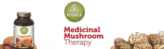 Medicinal Mushroom Therapy for immune system