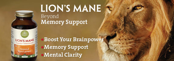 Lions Mane supplement for memory support