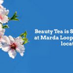 Happy Spring!